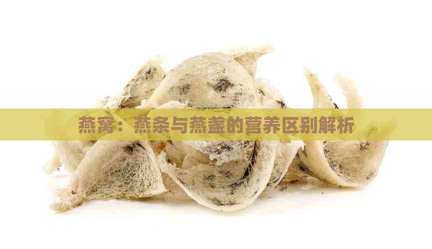 燕窝：燕条与燕盏的营养区别解析