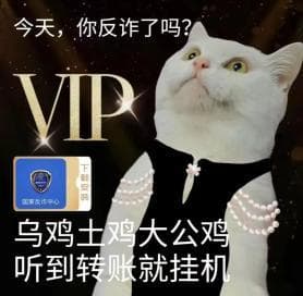 双十一防诈骗指南：识别五大网购陷阱，保护你的“钱袋子”
