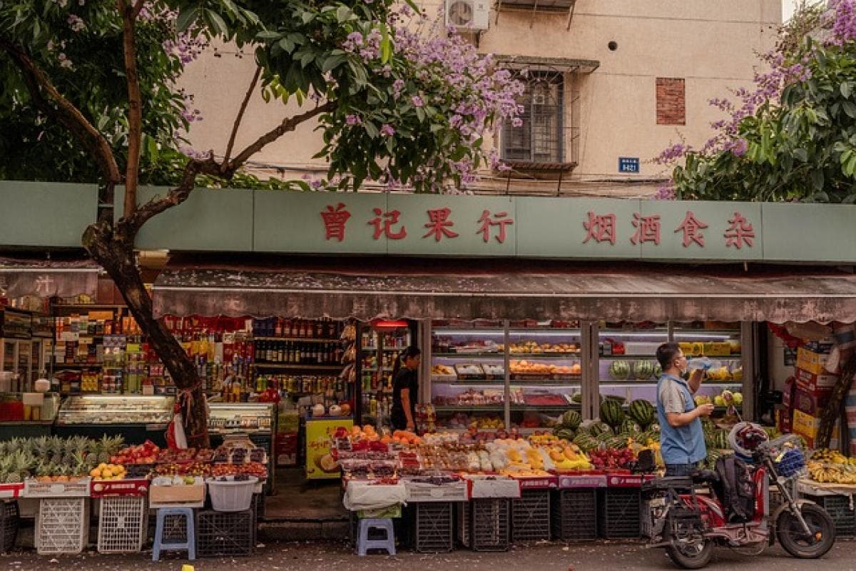 2025 什麼是彼得石？完整解析與應用