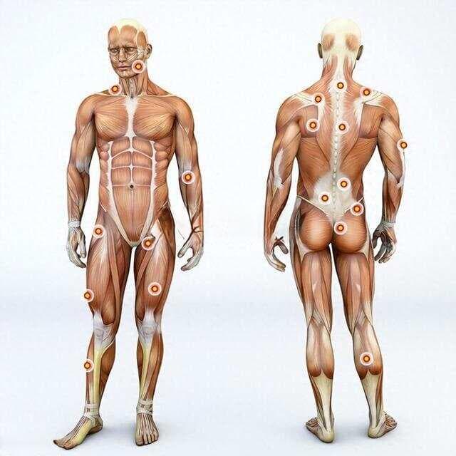 尊重肌肉生长，一文告诉你增肌所需要知道的！