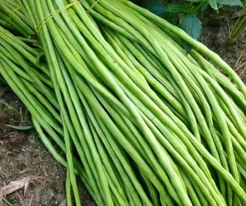 冬天，这5种蔬菜尽量少买！