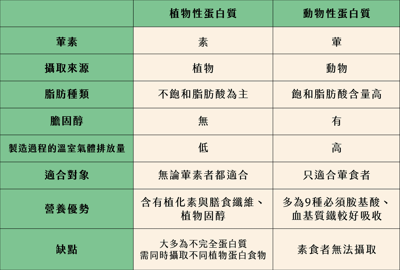植物蛋白是什么？20种植物性蛋白来源、食物与适合人群