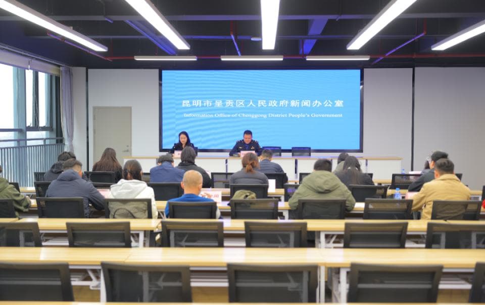 昆明呈贡洛龙公园第二届樱花节：赏花、玩花、吃花、学花、购花全攻略