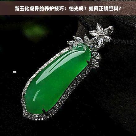 新玉化虎骨的养护技巧：怕光吗？如何正确照料？