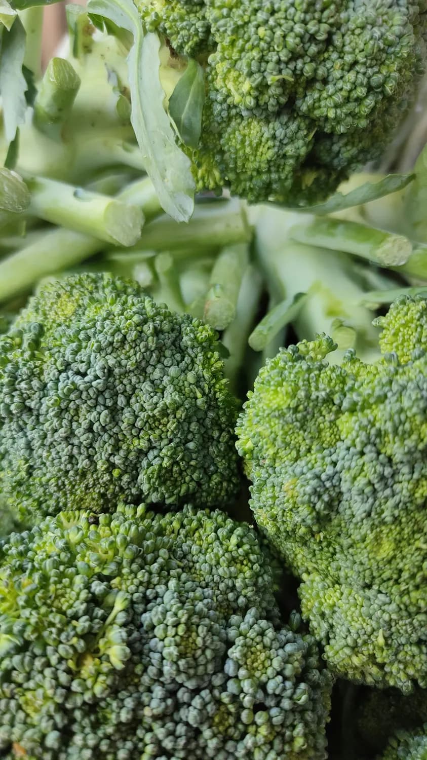 金榜美食推荐：如何挑选新鲜西兰花