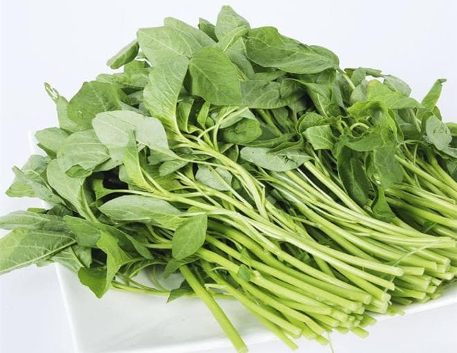 苋菜的功效与作用及营养价值
