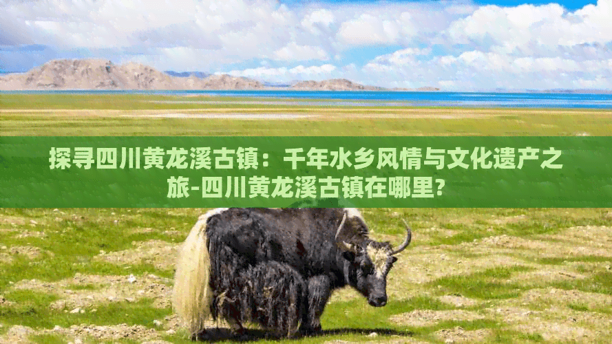 探寻四川黄龙溪古镇：千年水乡风情与文化遗产之旅