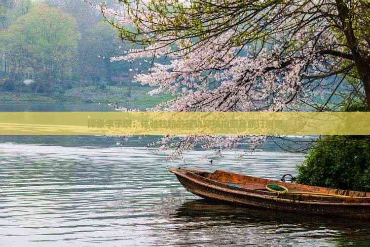 探索李子坝：体验独特的轻轨穿楼拍照及旅行指南