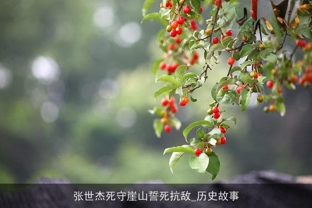 张世杰死守崖山誓死抗敌