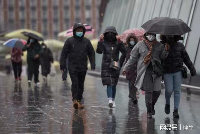 降温后要忌绿茶？老茶客：不论喝啥茶，记得“3不喝”，受益多