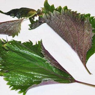 风寒风热感冒这样吃：一文详解感冒食疗方案