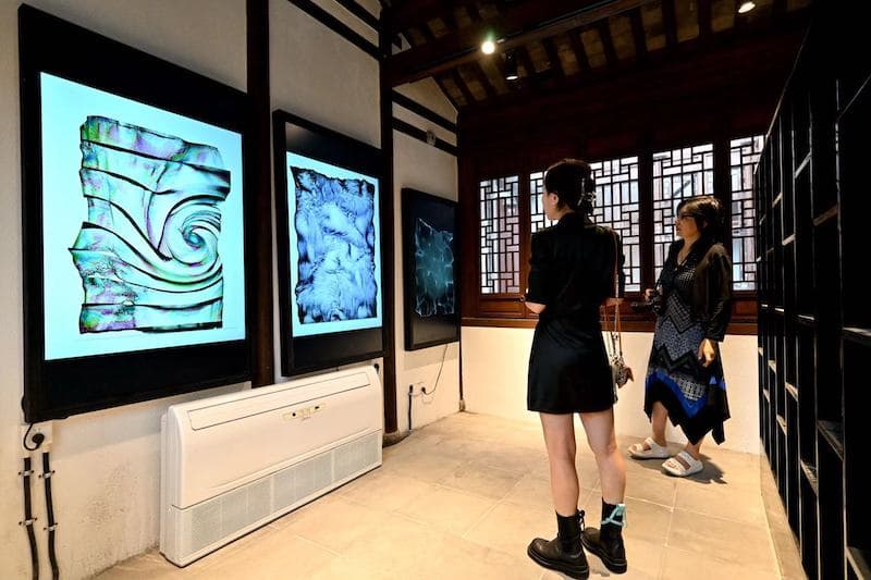 上海松江云间美术馆举办“自在生长”算法生成数字艺术特展