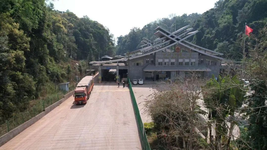首批！老挝中药材从勐康口岸通关入境