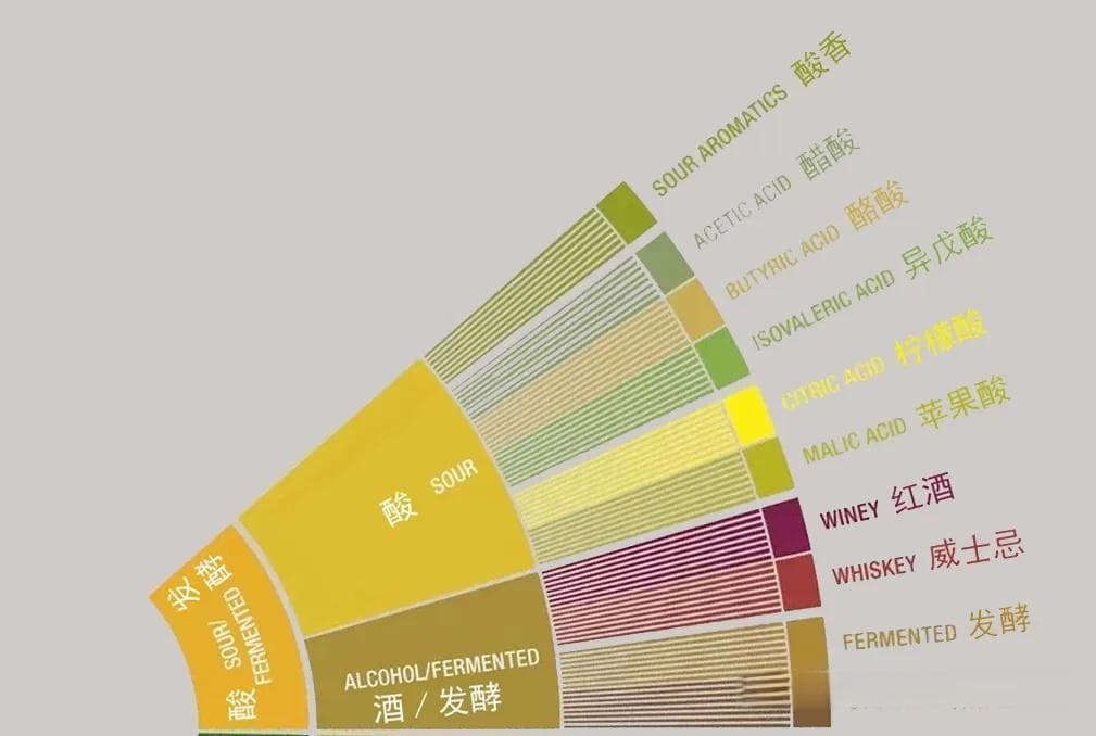 咖啡应该是酸的吗？