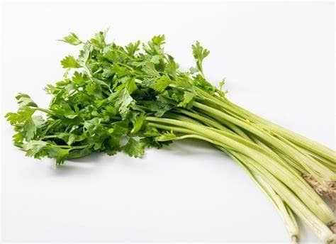 芹菜可以重茬种植吗？专家解答芹菜重茬种植建议与策略