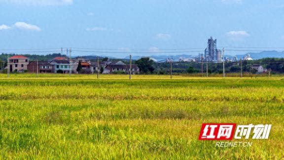 欧阳海灌区：数字孪生赋能助力现代化灌区建设