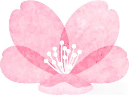 教学模式VS教学策略VS教学方法：一文读懂三者之间的纠葛与联系