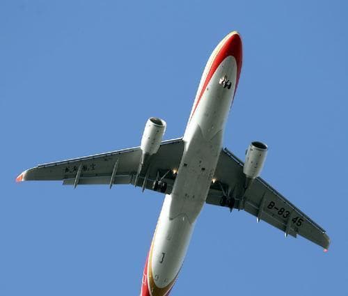 当飞机与小鸟相撞（航空安全的关键挑战——鸟击事件）