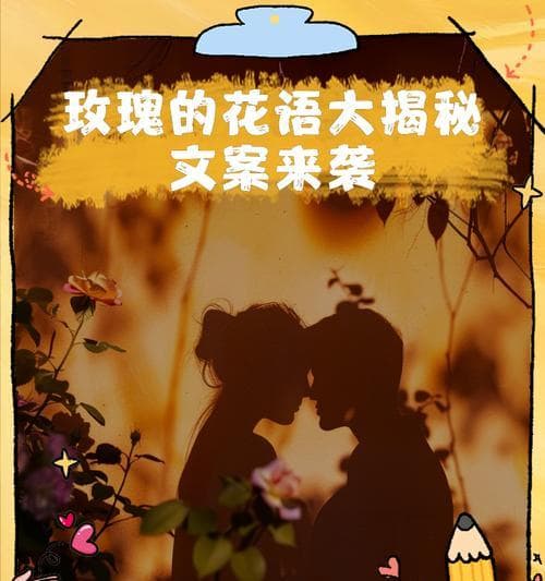 花语的理解与解读有何不同？