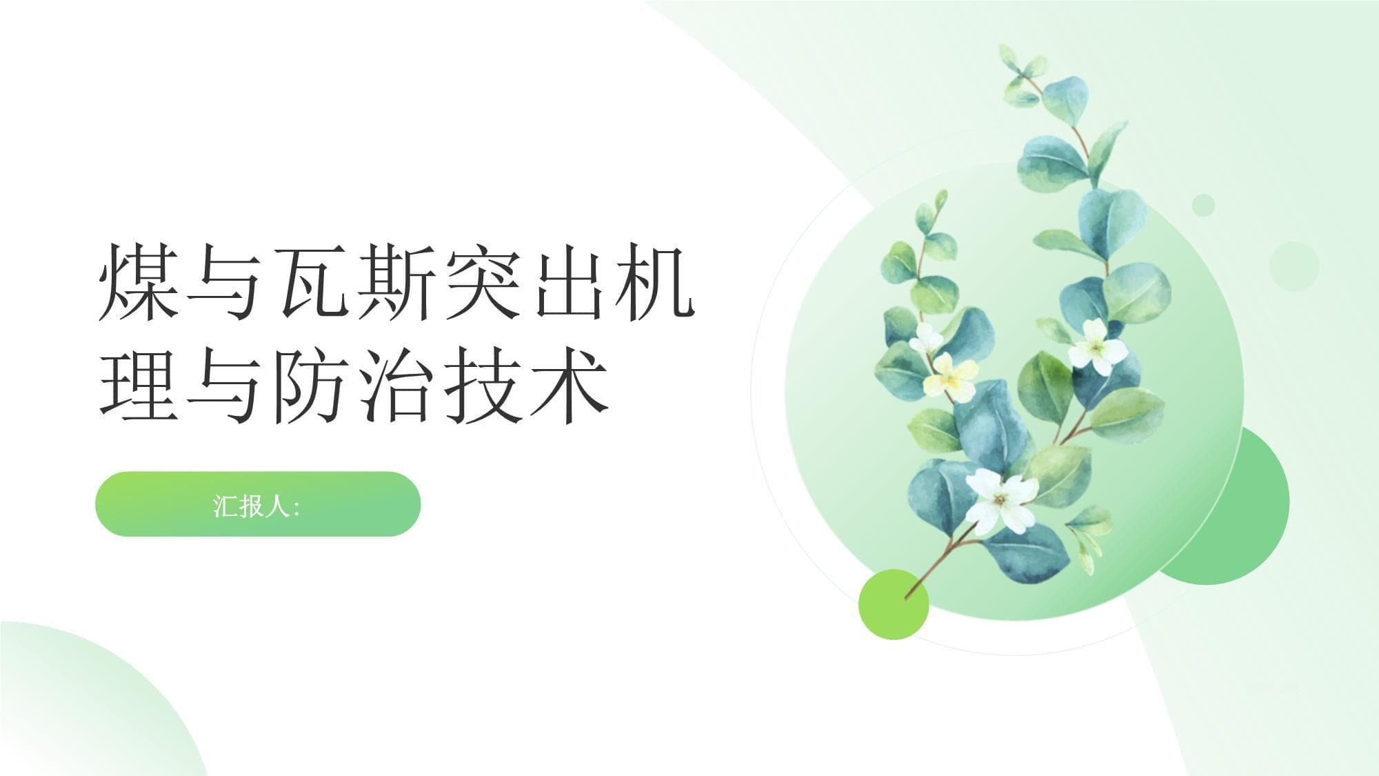 煤与瓦斯突出机理与防治技术