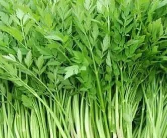 【急救科普】食用野菜要当心