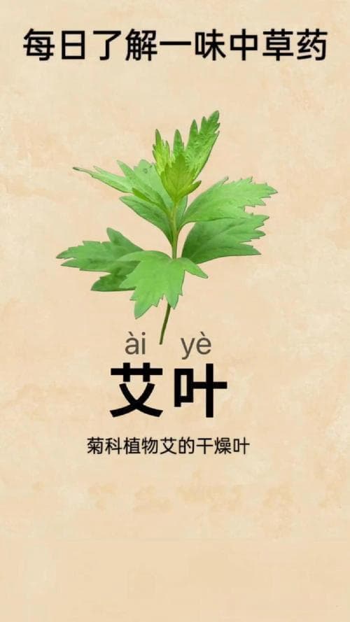 艾叶泡酒方法：如何泡酒、比例、泡酒的功效与注意事项