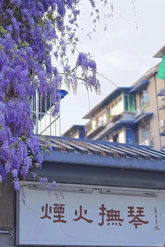烟火成都【金牛篇】抚琴夜市：感受城市烟火气的最佳去处