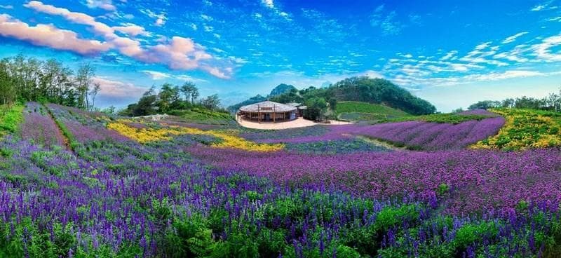 齐山风景区：齐文化与自然美景的完美融合