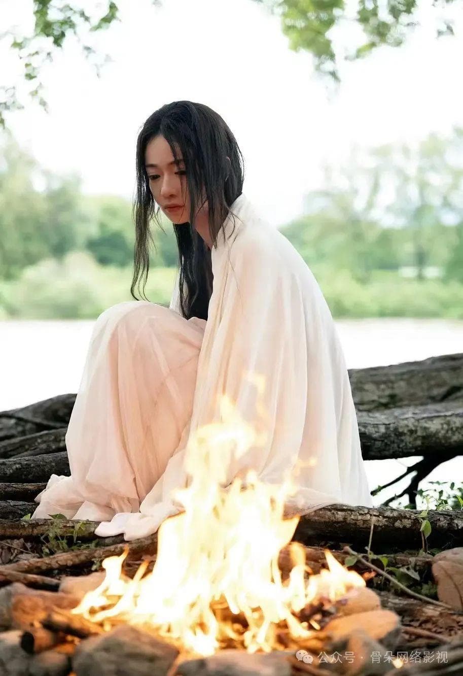于正剧，女频爽剧一片天？