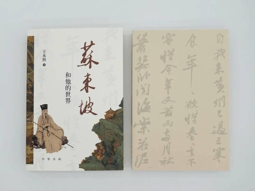 苏东坡：中国文人的“精神绿洲”