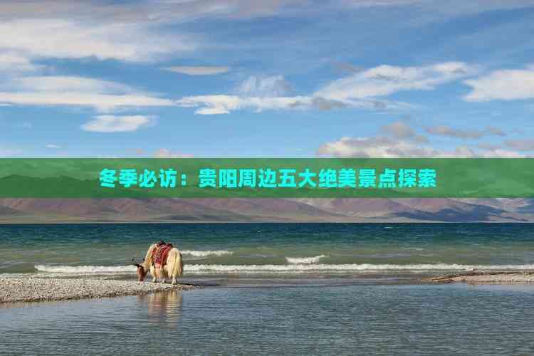 冬季必访：贵阳周边五大绝美景点探索