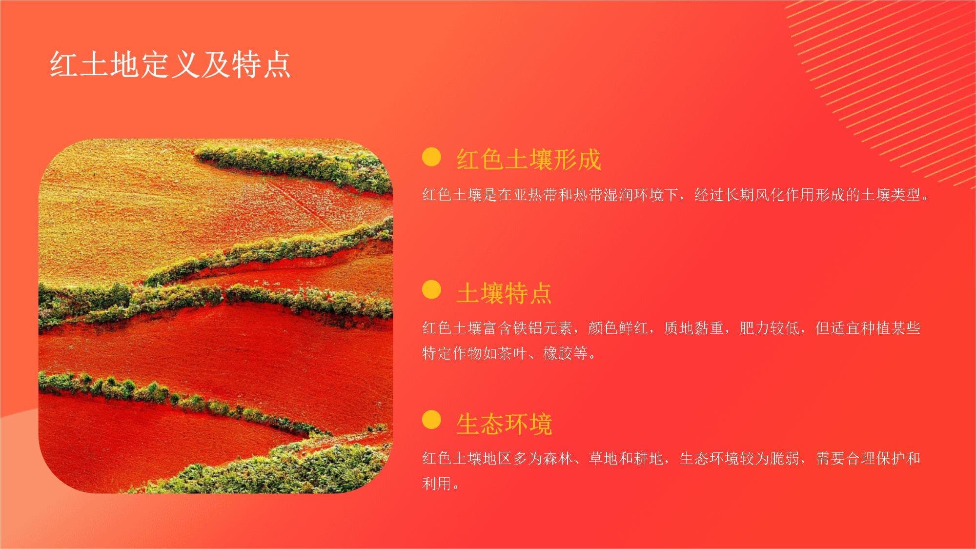 中国红土地旅游全攻略：自然景观、人文历史与生态保护