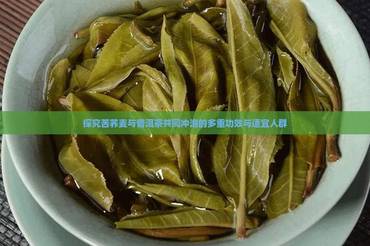 探究苦荞麦与普洱茶共同冲泡的多重功效与适宜人群