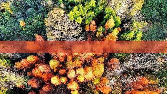 春游香格里拉：10天玩转雪山草原和藏族文化