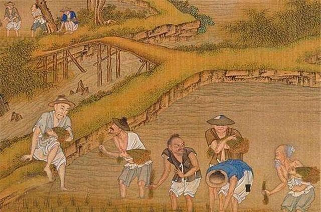 “晨兴理荒秽，带月荷锄归”，我国古代农具是如何演变的？
