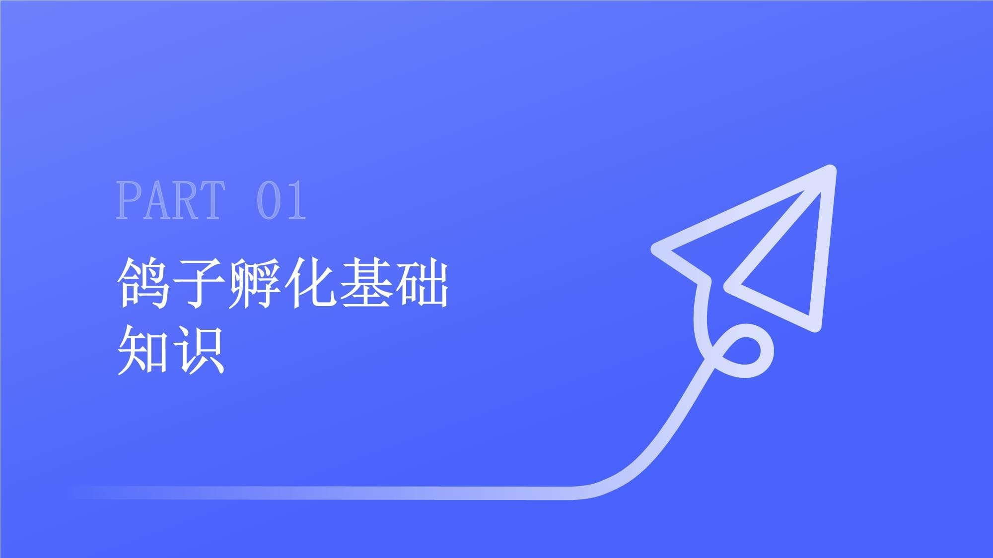 鸽子孵化知识培训课件
