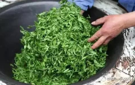 艾叶茶怎么喝才是正确的（你的艾草茶是不是喝错了？）