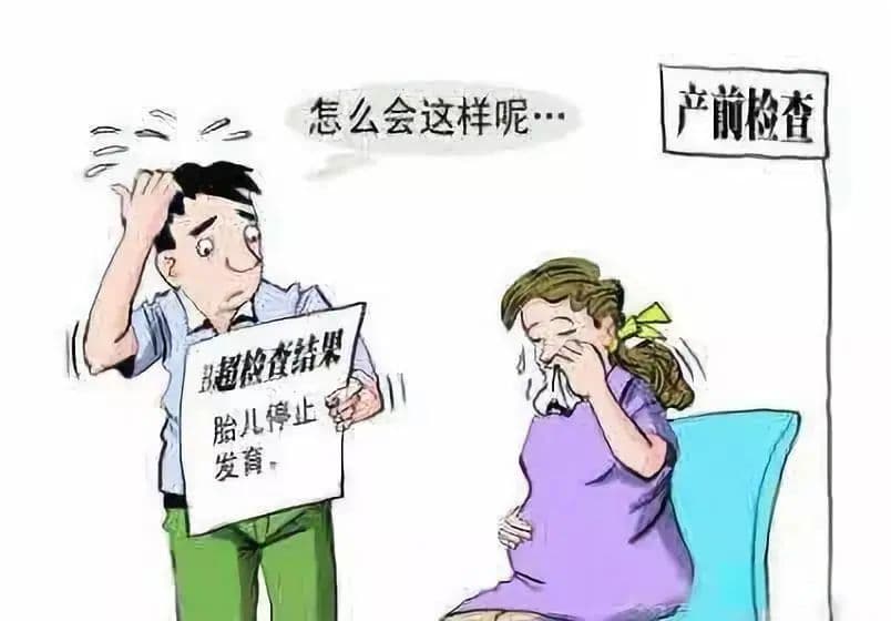 胎儿有心跳了，怎么还会胎停？