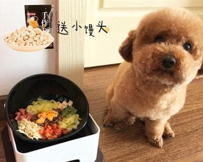 宠物手术后必知的护理方法（以狗为例）