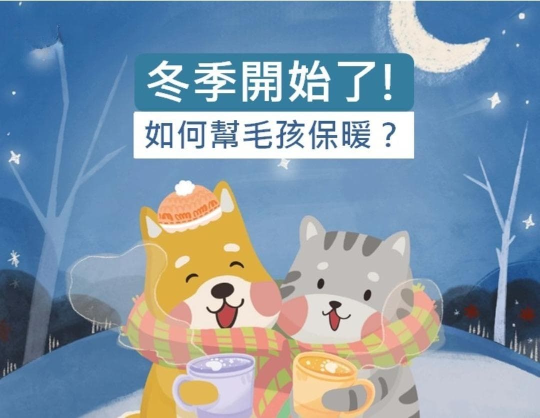 冬天开始了如何帮毛孩保暖？关键法则温暖毛孩身心灵