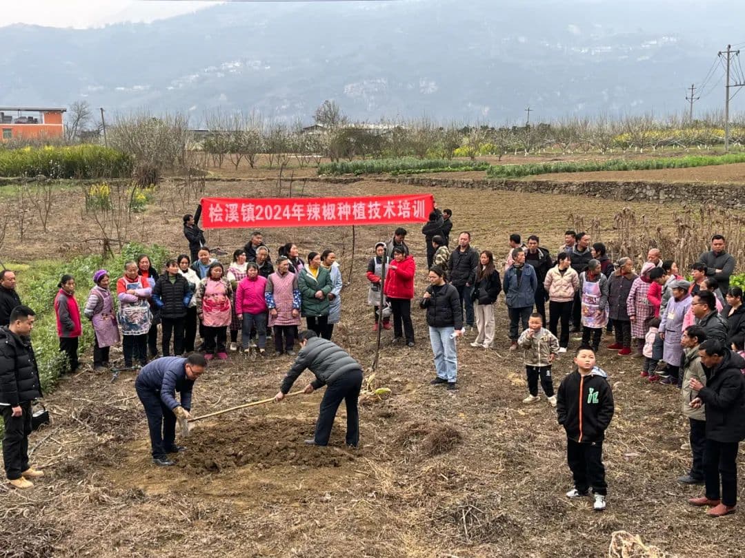 桧溪：田间地头“开课堂” 辣椒种植培训忙