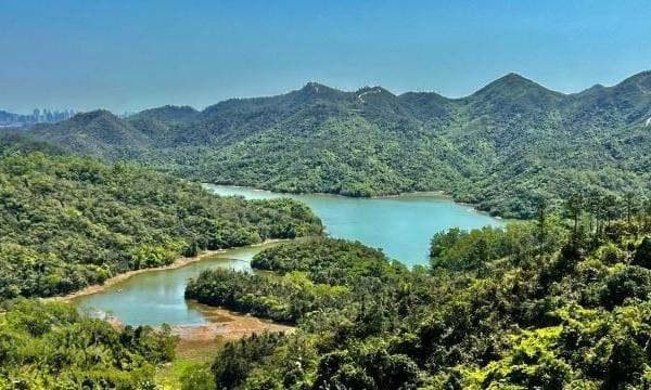 梧桐山徒步登山路线攻略