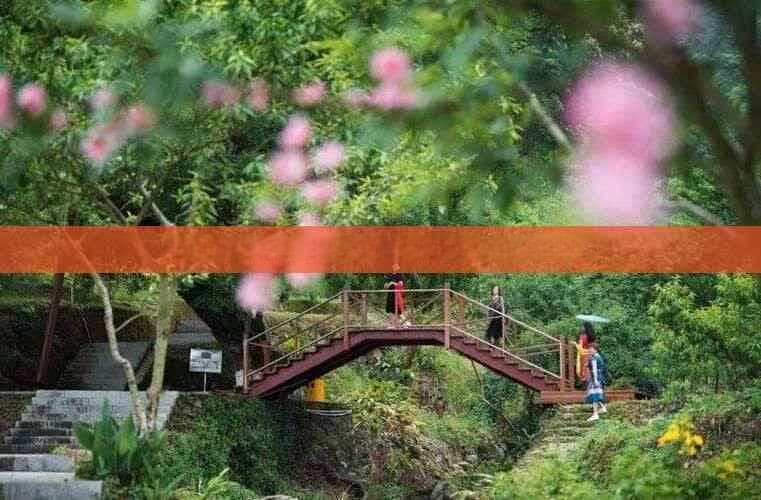 贵州青岩古镇深度游：历史文化探索与美食体验全攻略