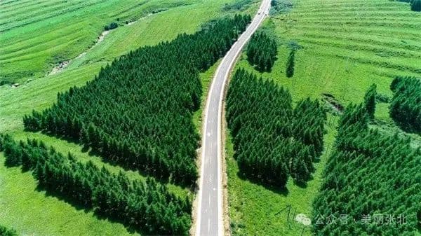 张北县多举措提升草原天路服务品质