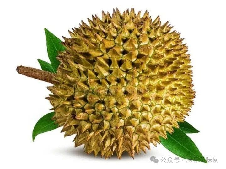 买榴莲怎么挑选才好吃（挑榴莲只需记住以下5技巧）