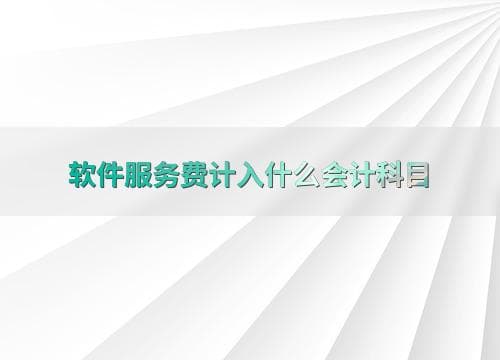 软件服务费计入什么会计科目
