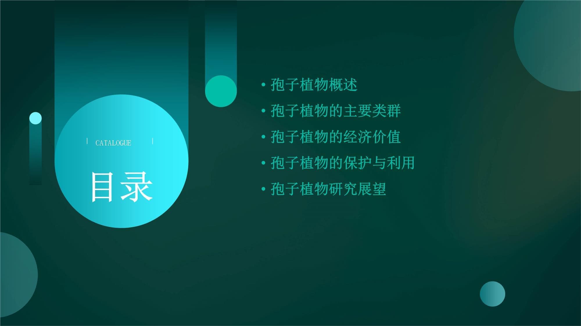 孢子植物：从基础分类到保护利用