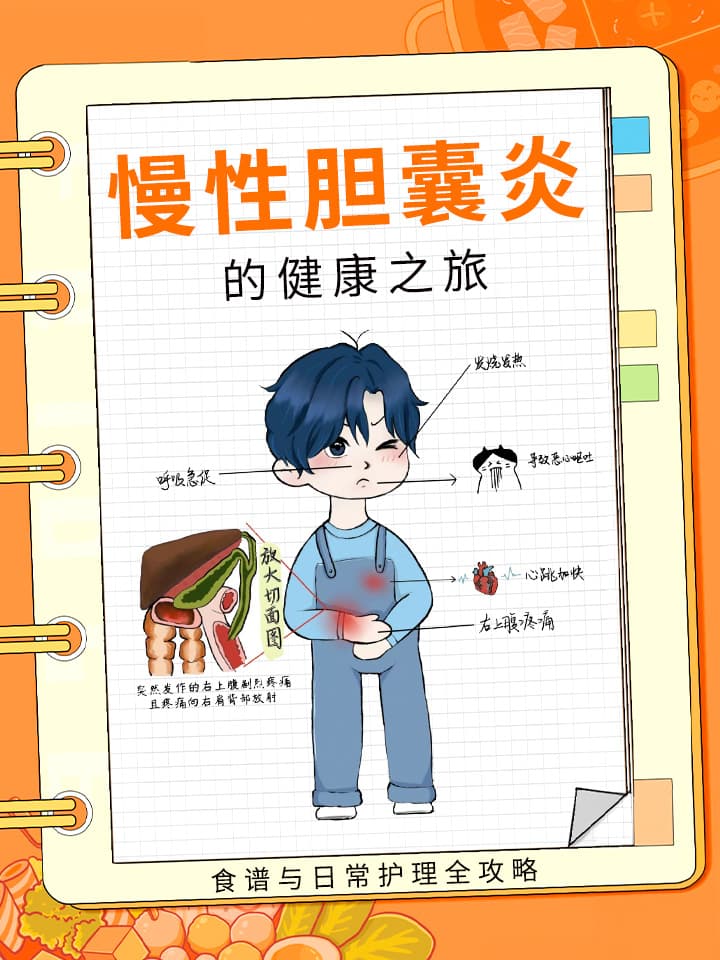 慢性胆囊炎的健康之旅：食谱与日常护理全攻略