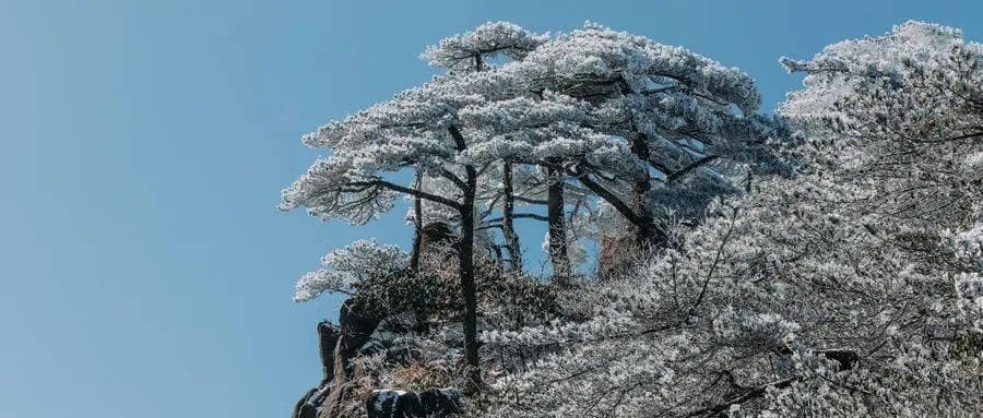 上海周边高铁直达的6个赏雪胜地