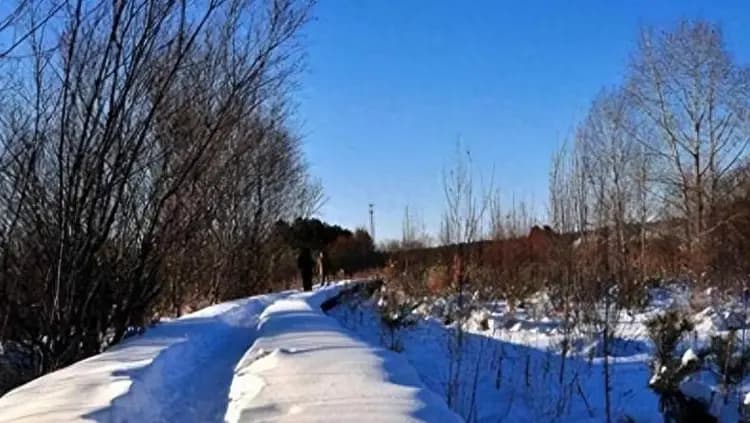 宁可舍弃五百万平方公里土地，也要死守远东，俄罗斯因何如此执着